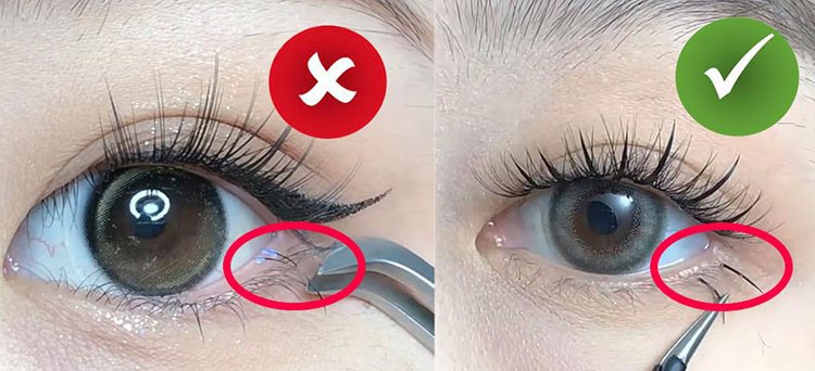 product-750-342 a903bbd00cf8826258b17afc65d9082